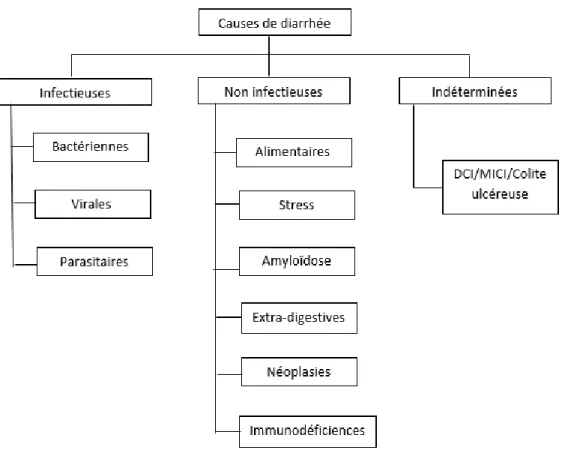Figure 4 : Les principales causes de diarrhées chez les Primates non humains (Wilk et al., 2008;  Brady and Carville, 2012; Calle and Joslin, 2015)