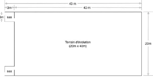 Figure 1 : Illustration des normes d’un terrain d’agility [64]. 