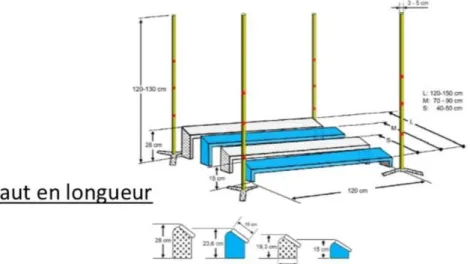 Figure 11 : Illustration d’un saut en longueur, d’après le règlement SCC [66].