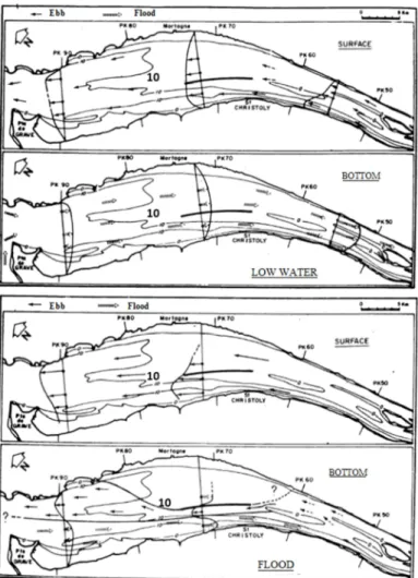 FIGURE 1.3 – Residual circulation at the lowest water-level and mean tide (upper) and 