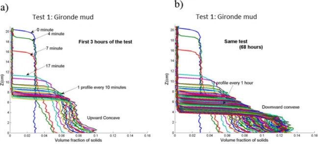 FIGURE 1.23 - Temporal evolution of concentration profiles of the Gironde mud 