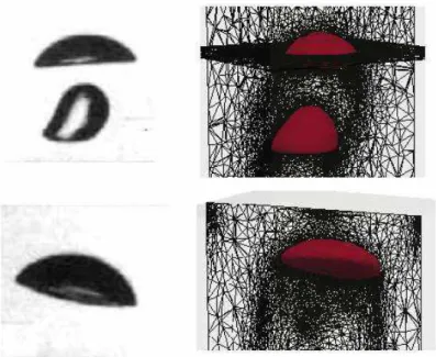 Figure 3.22: Comparison between the experimental measurement of [ 66 ] and the simulation for theoblique coalescence of two bubbles