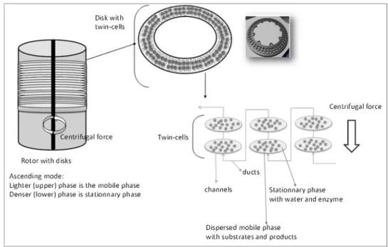 Fig. 1. Diagram of CPR reactor. The rotor consists in 21 disks. Each disk is composed of 90 twin-cells linked by ducts.