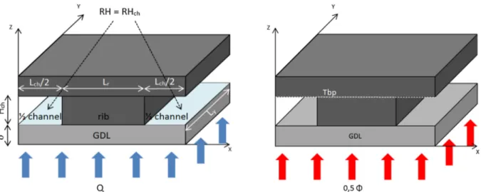 Fig. 1. Sketch of the GDL unit cell and schematics of water and heat transfer problems.