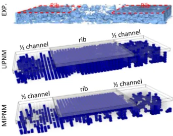 Fig. 6. Liquid water distributions for a low operating temperature and fully humidified conditions in the channel (T bp = 40 °C, i = 0.5 Acm 2 , RH ch = 100%)