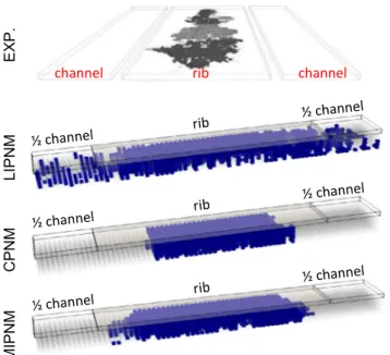 Fig. 8. Liquid water distributions for a standard operating temperature and fully humidified conditions in the channel (T bp = 80 °C, i = 0.75 Acm 2 , RH ch = 100%).