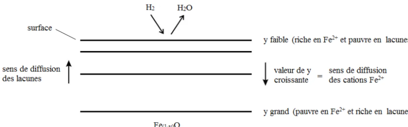 Figure  1.13 :  Schéma  d’un  oxyde  plan  pendant  la  réduction.  Les  différents  niveaux  représentent les iso-concentration en ions Fe 2+ 