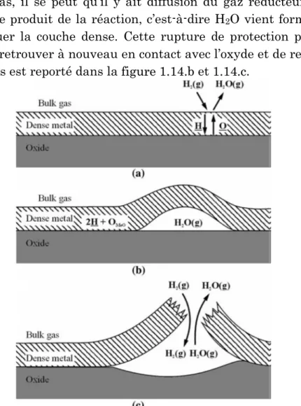 Figure 1.14 [Hay10] : Illustration schématique de (a) une couche dense de métal sur une  surface d’oxyde plan