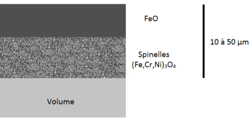 Figure 3.12 : Schéma de l’oxydation sur les aciers inoxydables austénitiques dans le cas  où l’oxyde externe est composé de wüstite