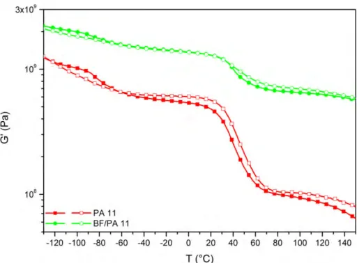 Figure 8. DMA of loss shear moduli G 00 of the PA 11 matrix and the BF/PA 11 composite