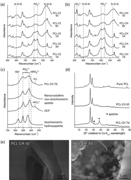 Figure 6. Evaluation of the apatite forming ability of BG−PCL hybrid scaﬀolds. Transmission FTIR spectra of (a) PCL−CE and (b) PCL−CH sca ﬀolds before and after immersion in SBF for 6 h, 1 day, 3 days, or 7 days