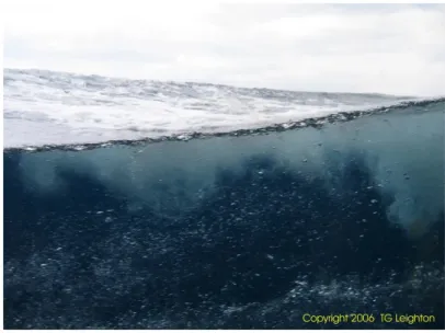 Figure 1.1: Photography showing a bubble cloud under the surface of the ocean. [1]