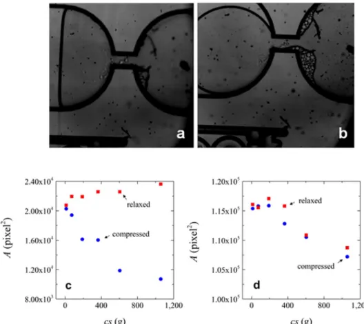 Figure 9.  Area of Sephadex G100 microgels in the hourglass configuration microchips (a) At 1058 g