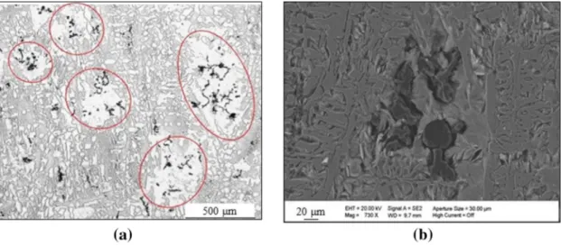 Figure 6. Sample S no-inoc : light optical micrograph (a) and SEM micrograph after deep etching (b).