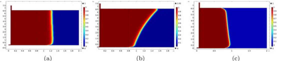 Figure 3. (a) Direct (D) and reverse (R) injection methods; (b) numerical model.