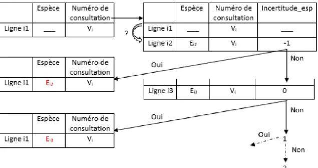 Figure 8 : Renseignement de l'espèce à l'aide du numéro de consultation 