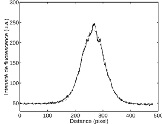 Figure II.7: (gauche) Image du nuage atomique apr`es 20 ms dans le r´eseau. Cette image repr´esente la moyenne de 4 acquisitions