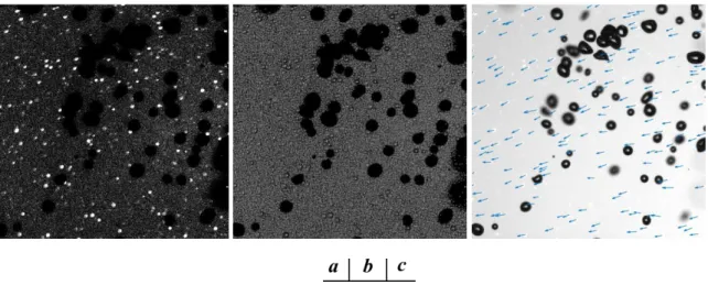 Figure  II.  14  Particle  identification  using  PMC  method.  A:  particle  image  after  background  subtraction,  B:  cross-