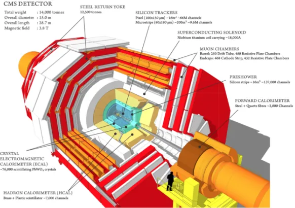 Figure 2.6: A perspective view of the CMS detector, illustrating its major subsystems.