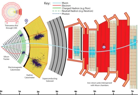 Figure 2.12: Schematic view of a transverse slice of the CMS detector, illustrating the specific signatures of different types of detected particles.