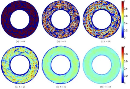 Figure 2.11: Impact of vesicles on the transport of a passive solute in a cylindrical Couette flow