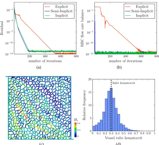 Figure 3 .2c illustrates the repartition of red blood cells throughout the network for the initial and boundary value problem described in the previous paragraph