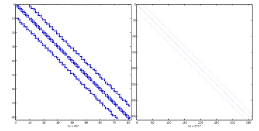 Figure 3.1 – Profil de la matrice de masse P 1 . A gauche : pour p = 81 points.