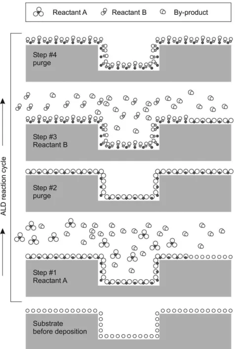 Figure 1.1. Schematic representation of an ideal ALD cycle (Puurunen, 2005) 