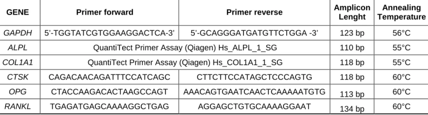 Table S1. Specifications of primer used for qPCR analysis. 
