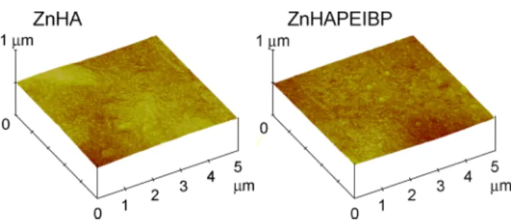 Figure 5. Atomic force microscopy images of the surfaces of disk shaped samples obtained by pressing as prepared ZnHA and ZnHAPEIBP powders into cylindrical molds and used for cell tests.