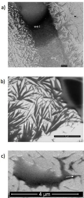 Fig. 5. a) SEM of a HMIMI  droplet on TMV patterns. b) SEM micrograph of an array of TMV 