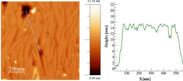 Fig. S5. Left. Topography picture of TMV pattern covered with hydrophobic EMIMFSI. Left 