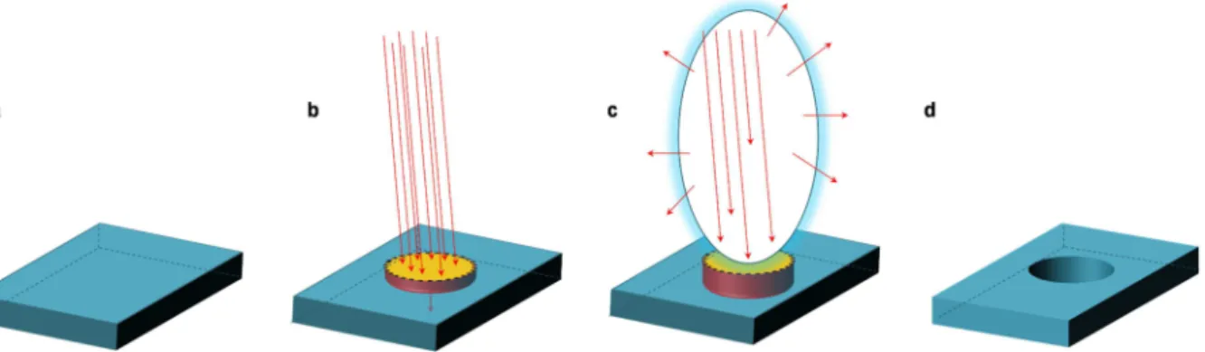 Figure  II.3  |  Illustrations  of  the  target  extraction  and  projection.  a,  Target  material