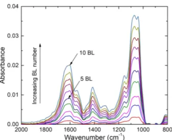 Fig. 4. Absorbance at 1090 cm −1 as a function of the number of bilayers for the