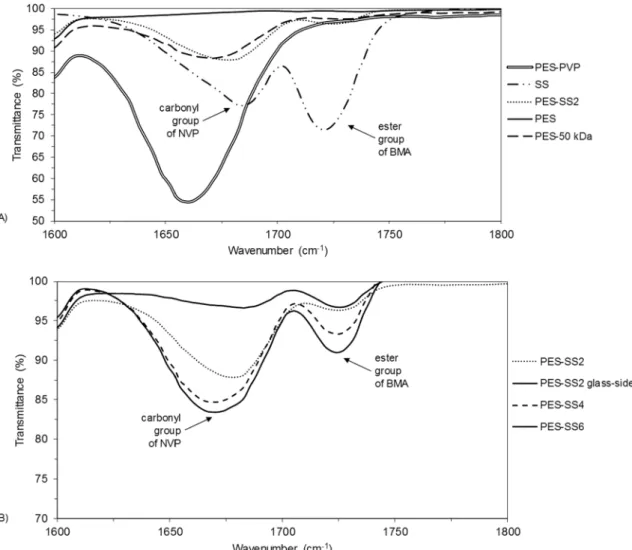 Fig. 3. (A) ATR-FTIR spectra of air-sides of PES-PVP, SS, PES-SS2, PES and PES-50 kDa membranes, n = 3