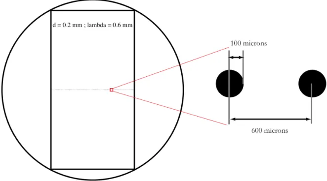 Figure 2.11 : Négatif du masque ( échelle : 80% ) utilisé pour la création des défauts, avec à  droite le détail de deux défauts