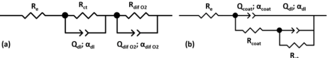 Fig. 10. Equivalent circuit used to ﬁt the EIS spectra plotted for (a) degreased-desmutted and 3 s TCP (14 days) coated samples, (b) all other TCP coated samples.