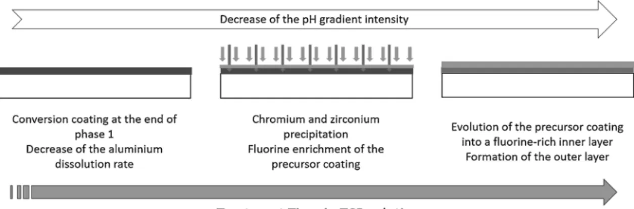 Fig. 12. Schematic describing the formation of the TCP coating during the rapid potential increase (step 2).