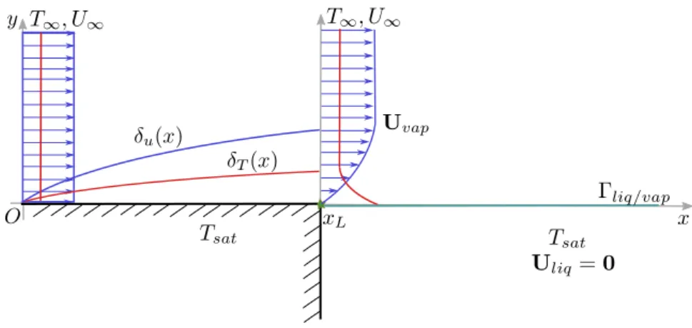 Figure 2.1: Schematics of the expanding Blasius-Pohlhausen boundary layer interacting with a saturated and static liquid pool.