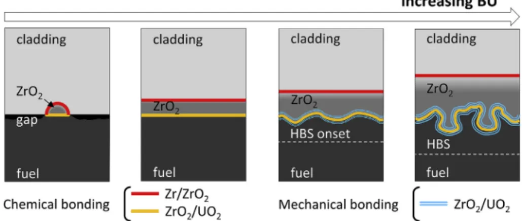 Fig. 16. Schematic representation of the evolution of the chemical and mechanical components of fuel-cladding adhesion with burnup.