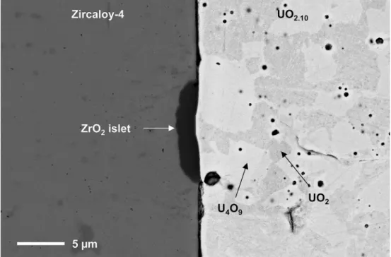Fig. 10. Optical micrograph of a Zy-4jUO 2.10 interface, annealed for 250 h at 400  C, under an Ar atmosphere (P(O 2 ) ¼ 10 21 atm).