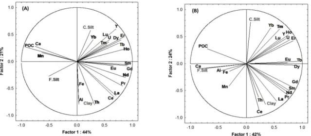 Fig. 7. PCA for REE elements, trace elements (Th, Y, and U), and major elements (Al and Fe) with grain size and POC (A: high water and B: low water condition).A
