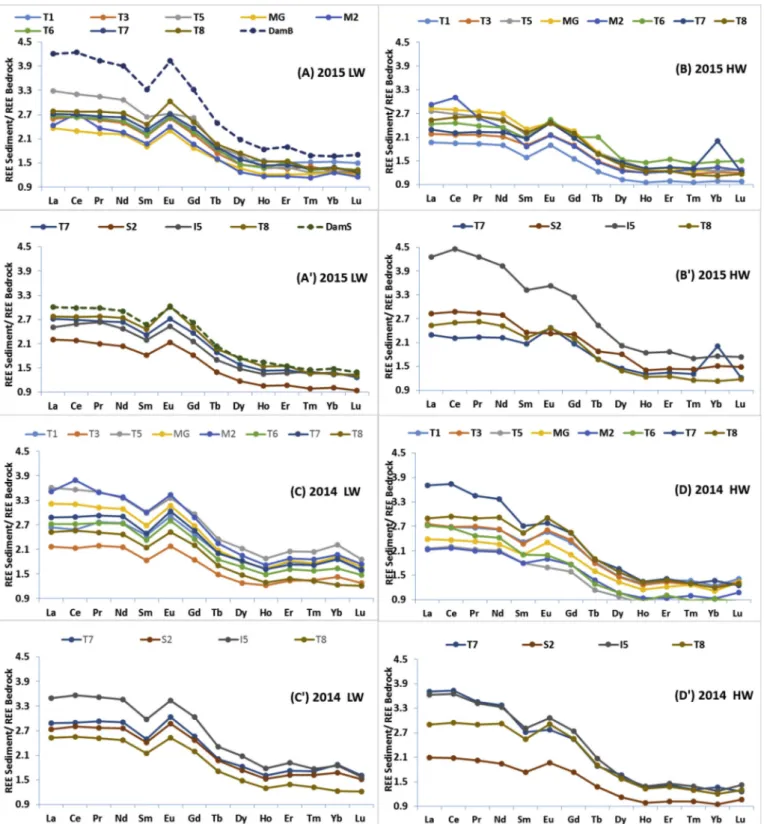 Fig. 3. Normalised REE patterns for each Tafna site and for the four sampling periods using the mean local bedrock as a normaliser (A, A’: low water (LW) in February 2015; B, B’: high water (HW) in February 2015; C, C’: low water (LW) in June 2014; D, D’: 