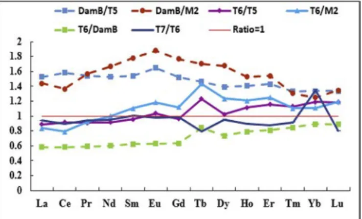 Fig. 5. REE concentration ratios between downstream and upstream stations of