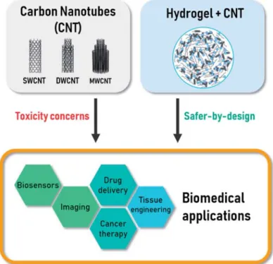 Figure 1. Scheme of the topics addressed in this review: Carbon nanotubes (CNTs) are good materials for various biomedical applications but they raise several question about toxicity