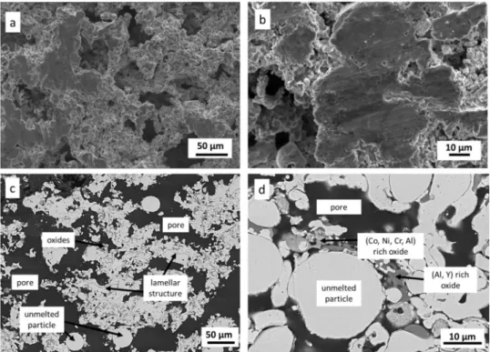Fig. 4. Surface (a, b) and cross-sectional (c, d) SEM observations of the as-sprayed CoNiCrAlY/h-BN coating