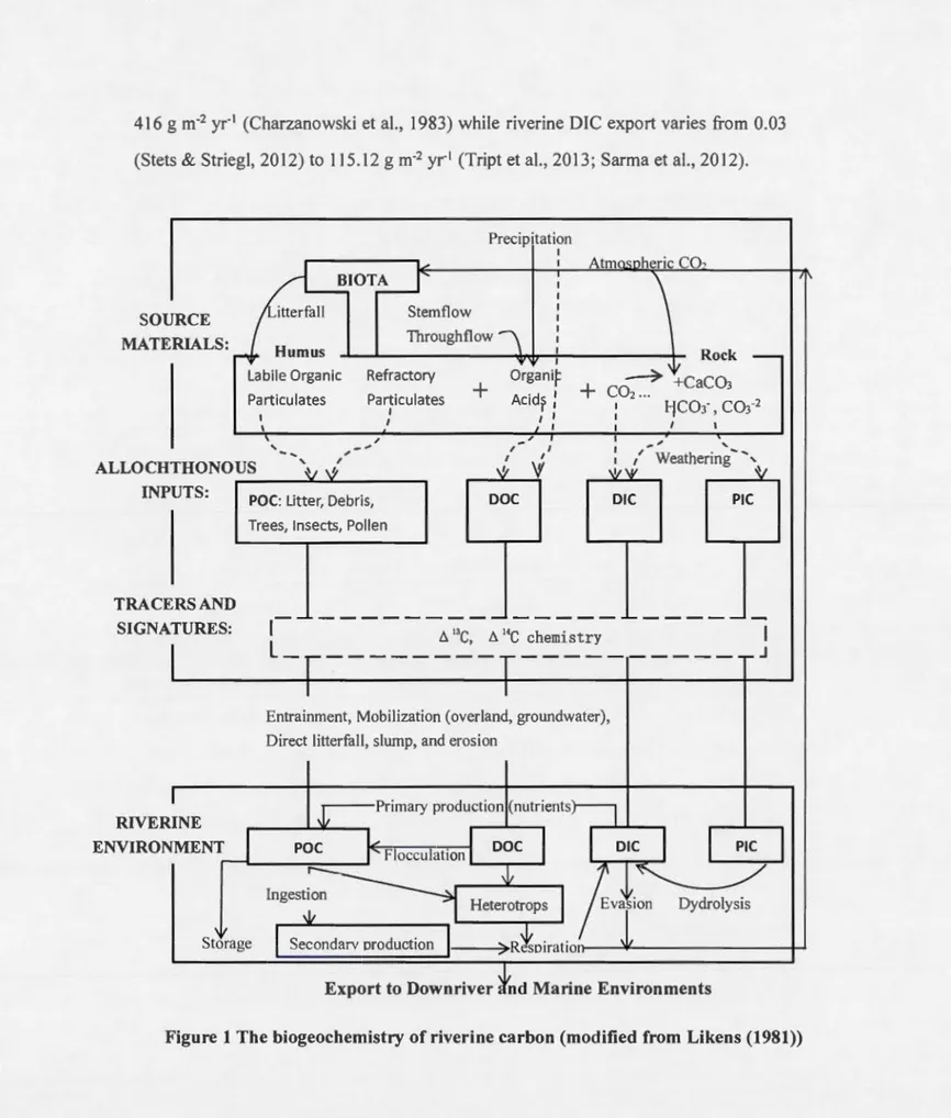 Figure  1  The  biogeochemistry  of  riverine carbon  (modified  from  Likens  (1981)) 
