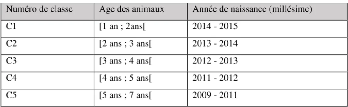 Tableau 6 : Description des classes d'âge, d'après Dr. Vet. Joye (2016, thèse d'exercice vétérinaire) 