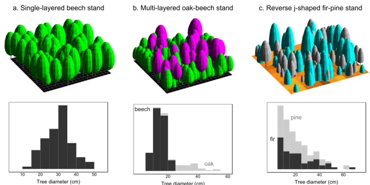 Figure 1. Examples of three virtual stands with basal area of 25 m 2 ha −1 : a single-layered stand of European beech with a mean DBH of 35 cm (a); a multi-layered stand of sessile oak and beech with mean DBHs of 15 cm for beech (green) and 35 cm for oak (