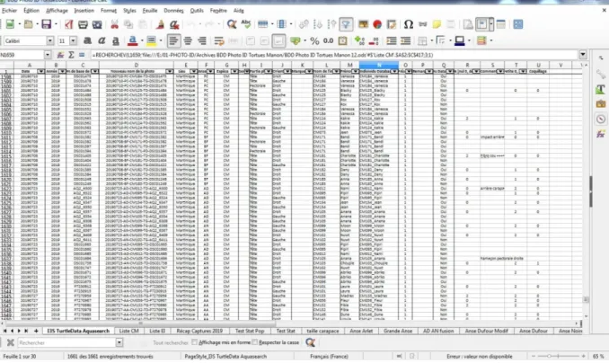 Figure 11 : Base de données générale présentée sous forme de tableur sur OpenOffice Calc